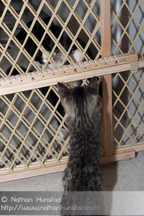 ???? and ???? figure out what to do with each other